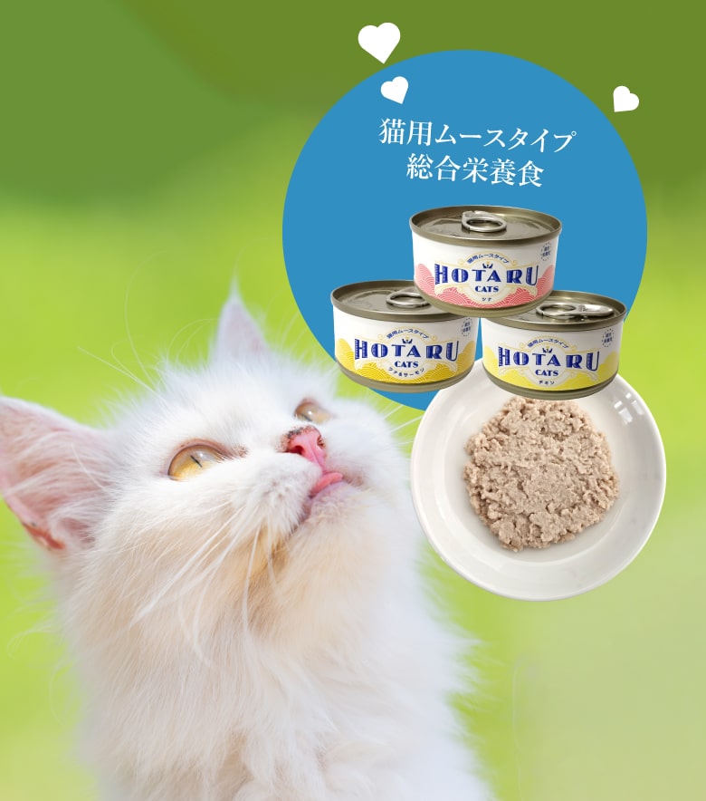 猫用ムース